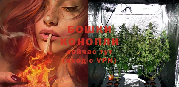 spice Каменногорск