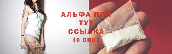spice Каменногорск