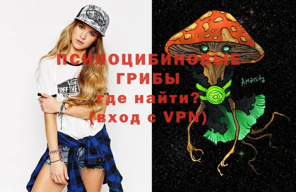spice Каменногорск
