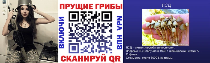 Галлюциногенные грибы Psilocybe  Купить  Удомля 